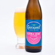 chuckanutBrewery_citraLeafPilsner