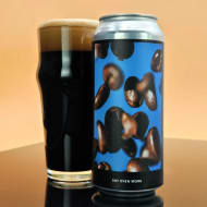 evilTwinBrewingNYC_sayEvenMore