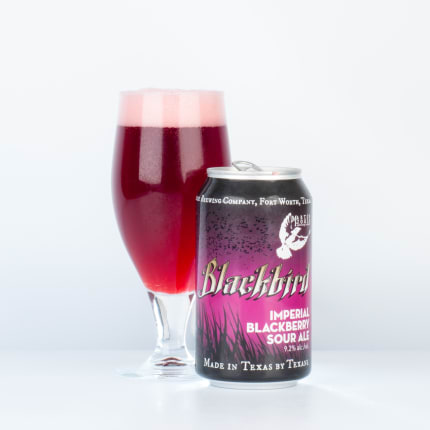 martinHouseBrewingCompany_blackbird