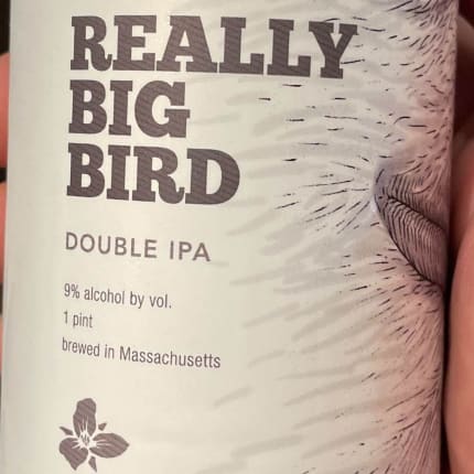 trilliumBrewingCompany_reallyBigBird