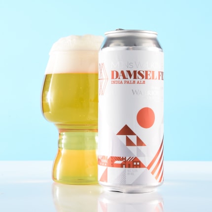 mountainsWalkingBrewery_damselFly