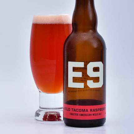 e9BrewingCo._wildTacomaRaspberry