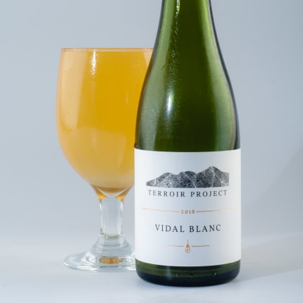 sideProjectBrewing_terroirProject(VidalBlanc2018)