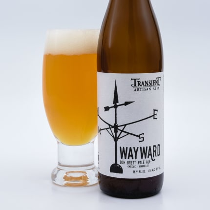 transientArtisanAles_wayward