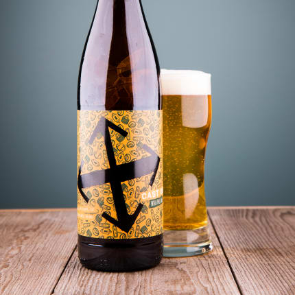cruxFermentationProject_castOutIPA