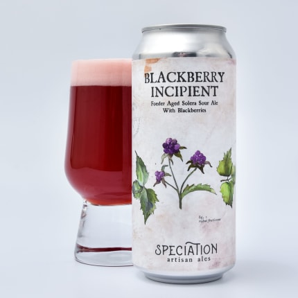 speciationArtisanAles_blackberryIncipient(2021)