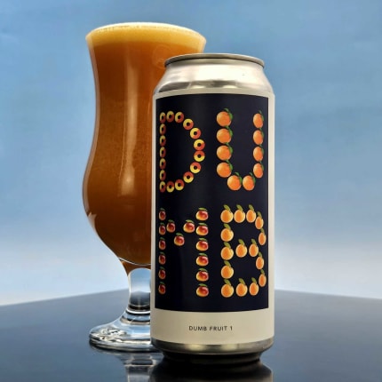 evilTwinBrewingNYC_dumbFruit1
