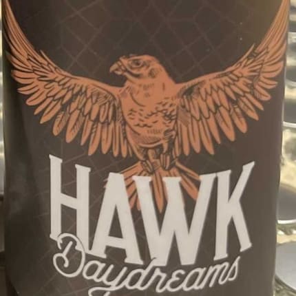 3SonsBrewingCo._hawkDaydreams