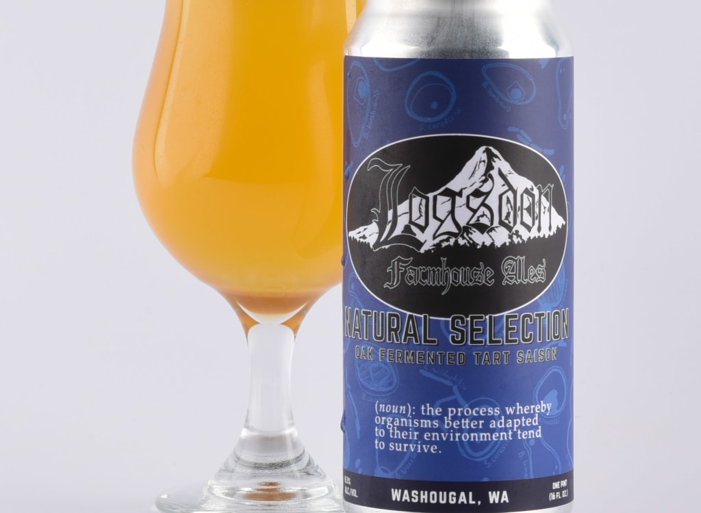 logsdonFarmhouseAles_naturalSelection