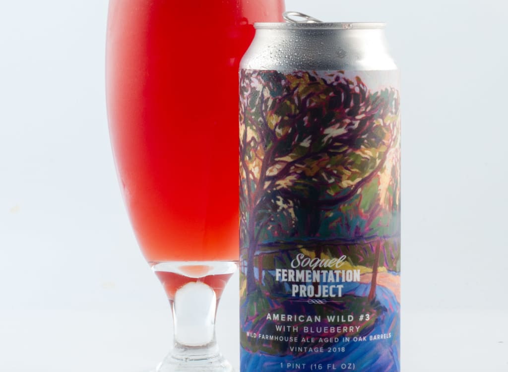 soquelFermentationProject_americanWild#3WithBlueberry
