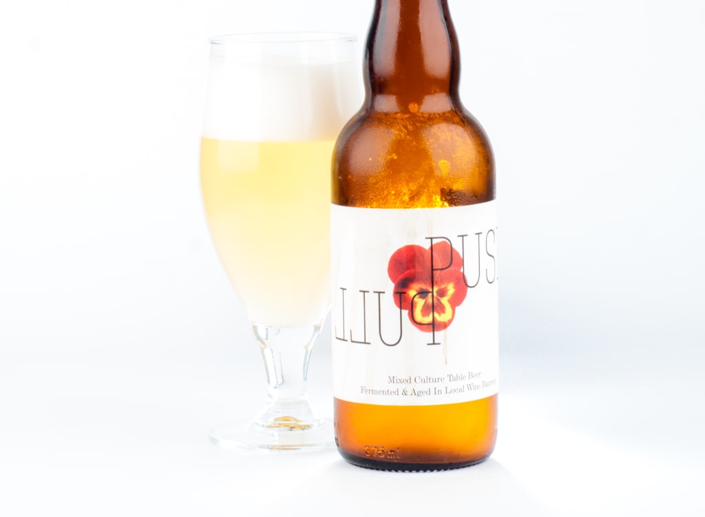 whiteRoosterFarmhouseBrewery_pushPull(2017)