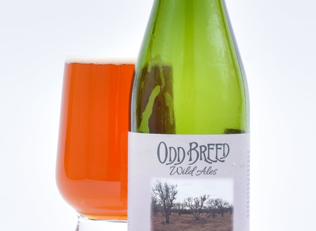 oddBreedWildAles_vestigialGrove