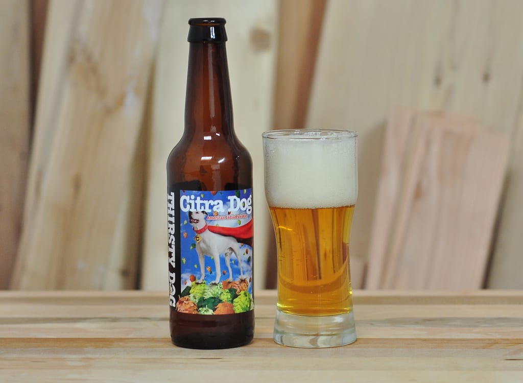 thirstyEyeBrewingCompany_citraDog