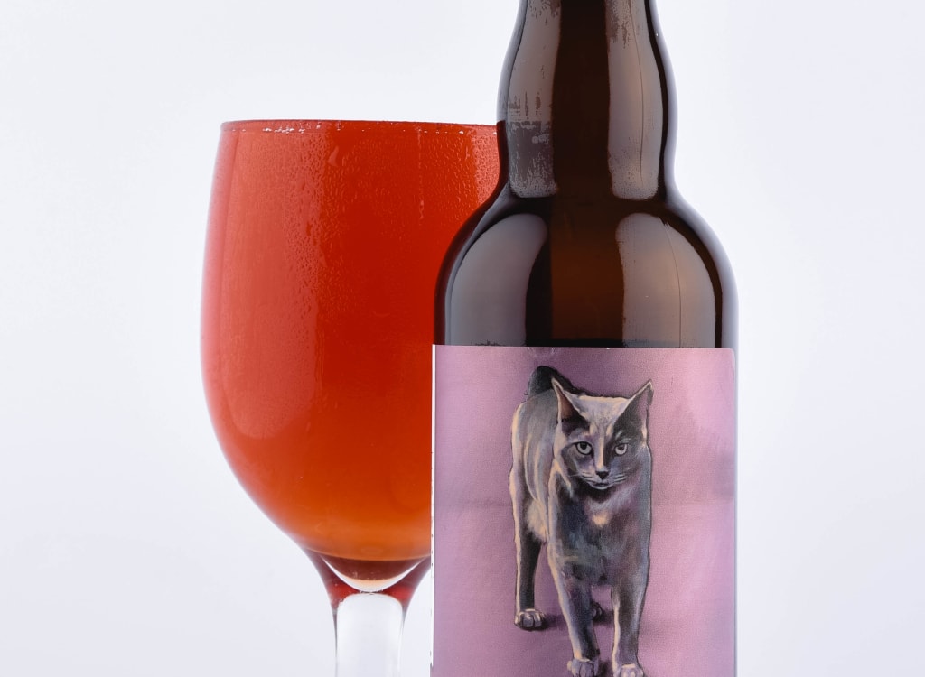 craneBrewingCompany_raspberryMinette