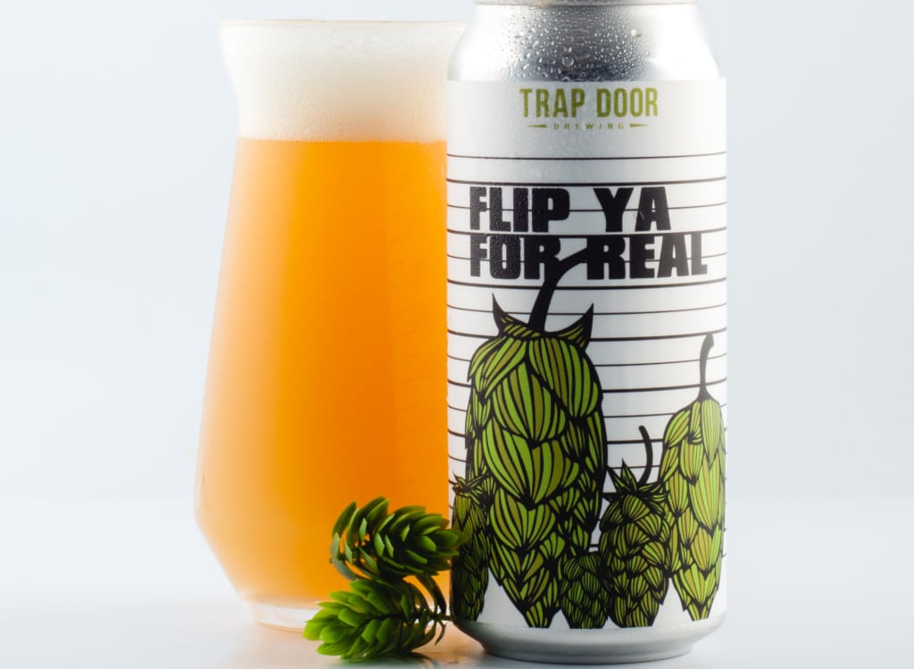 trapDoorBrewing_flipYaForReal(TrapDoor)