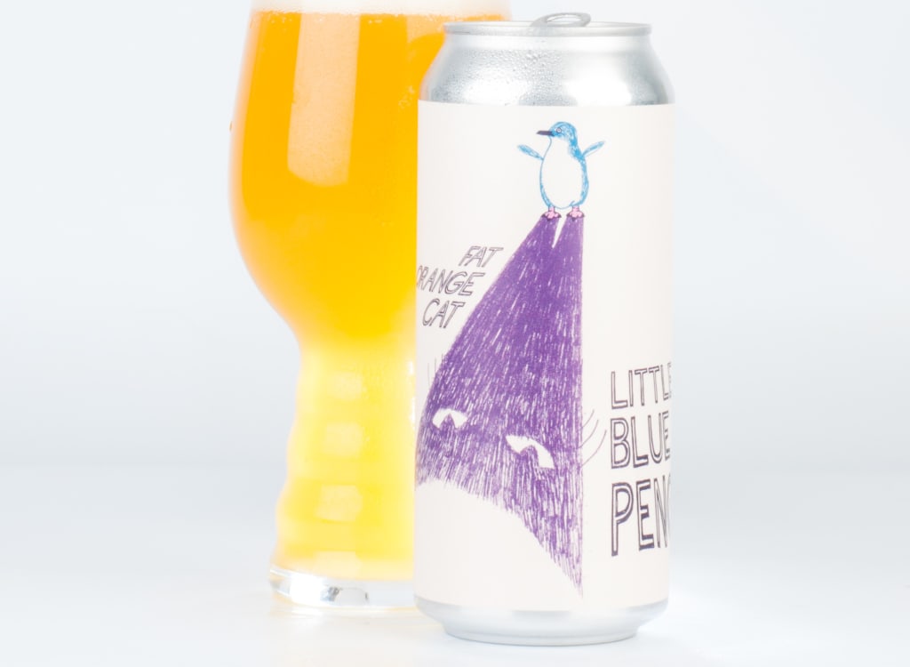 fatOrangeCatBrewCo._littleBluePenguin