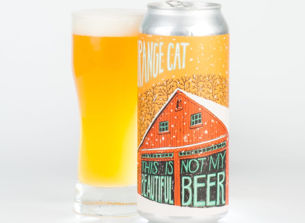 fatOrangeCatBrewCo._thisIsNotMyBeautifulBeer