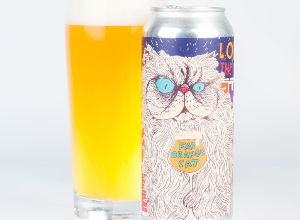 fatOrangeCatBrewCo._lorenzoBeerCat