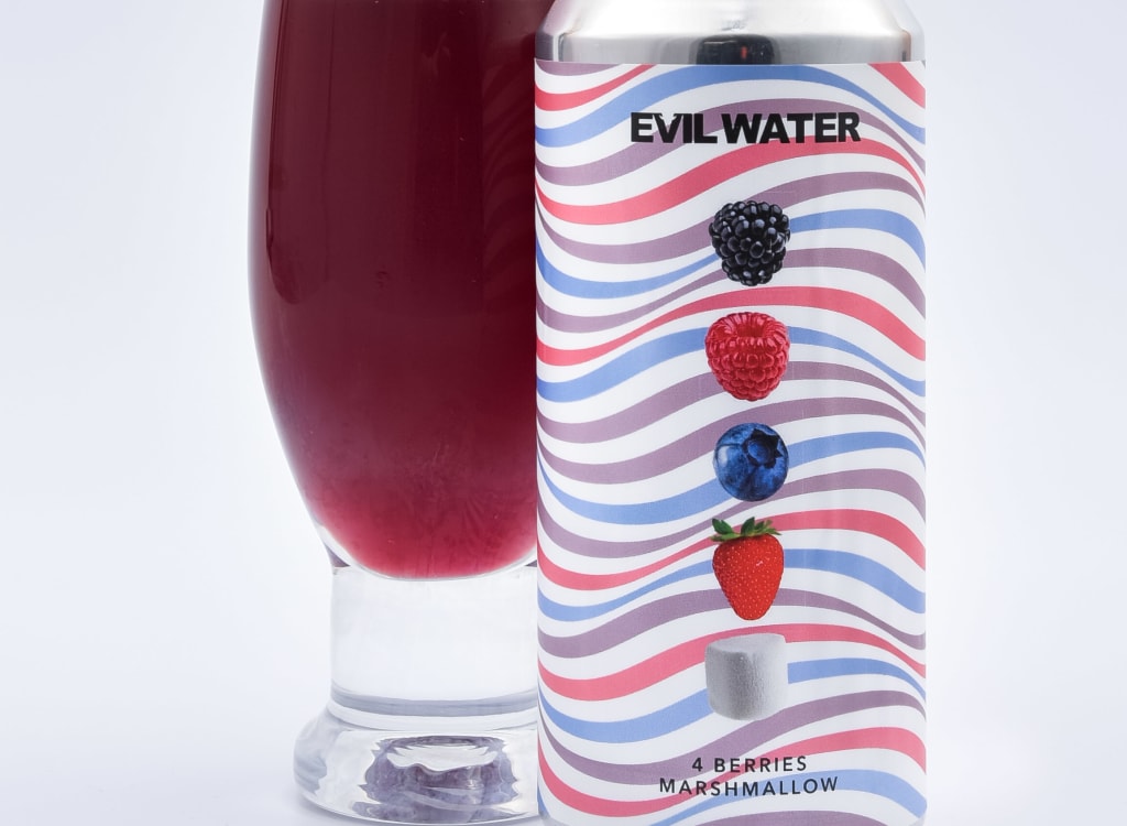 evilTwinBrewingNYC_eVILWATER-4Berries,Marshmallow
