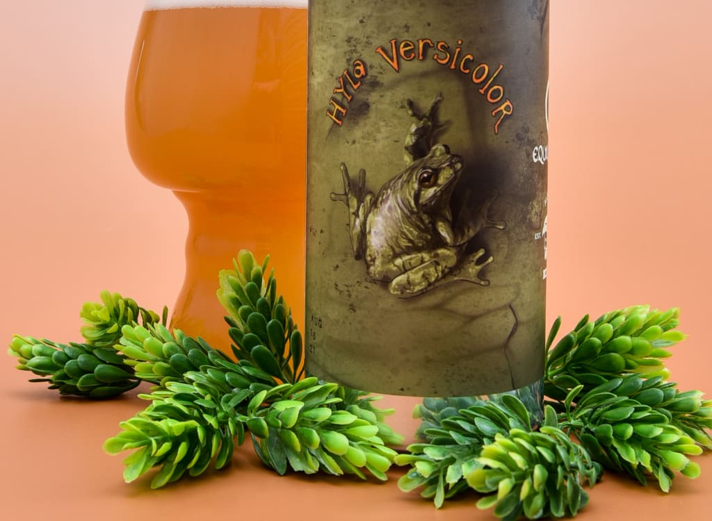 equilibriumBrewery_hylaVersicolor