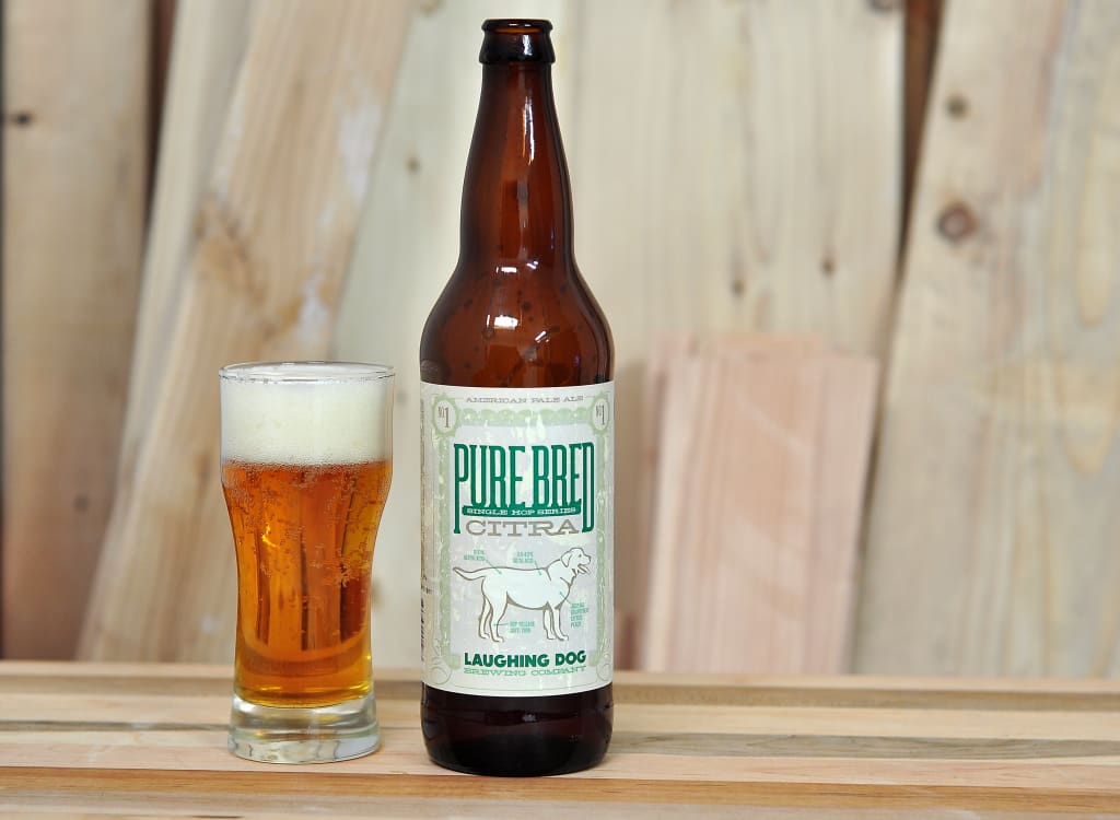 laughingDogBrewing_pureBred:CitraAPA