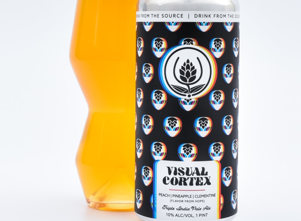 sourceBrewing_visualCortexVC2
