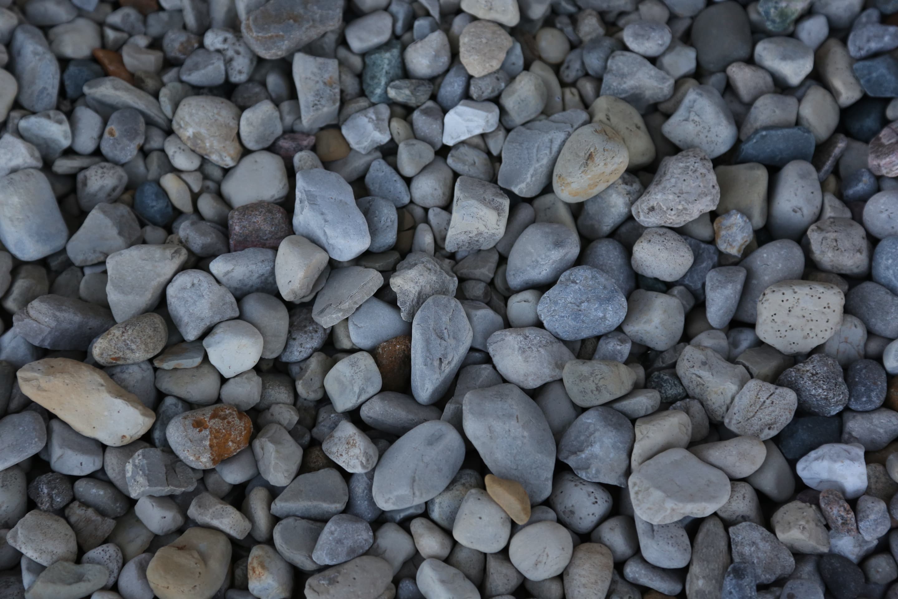 River Rock Medium Tawa Mulch & Landscape Supply