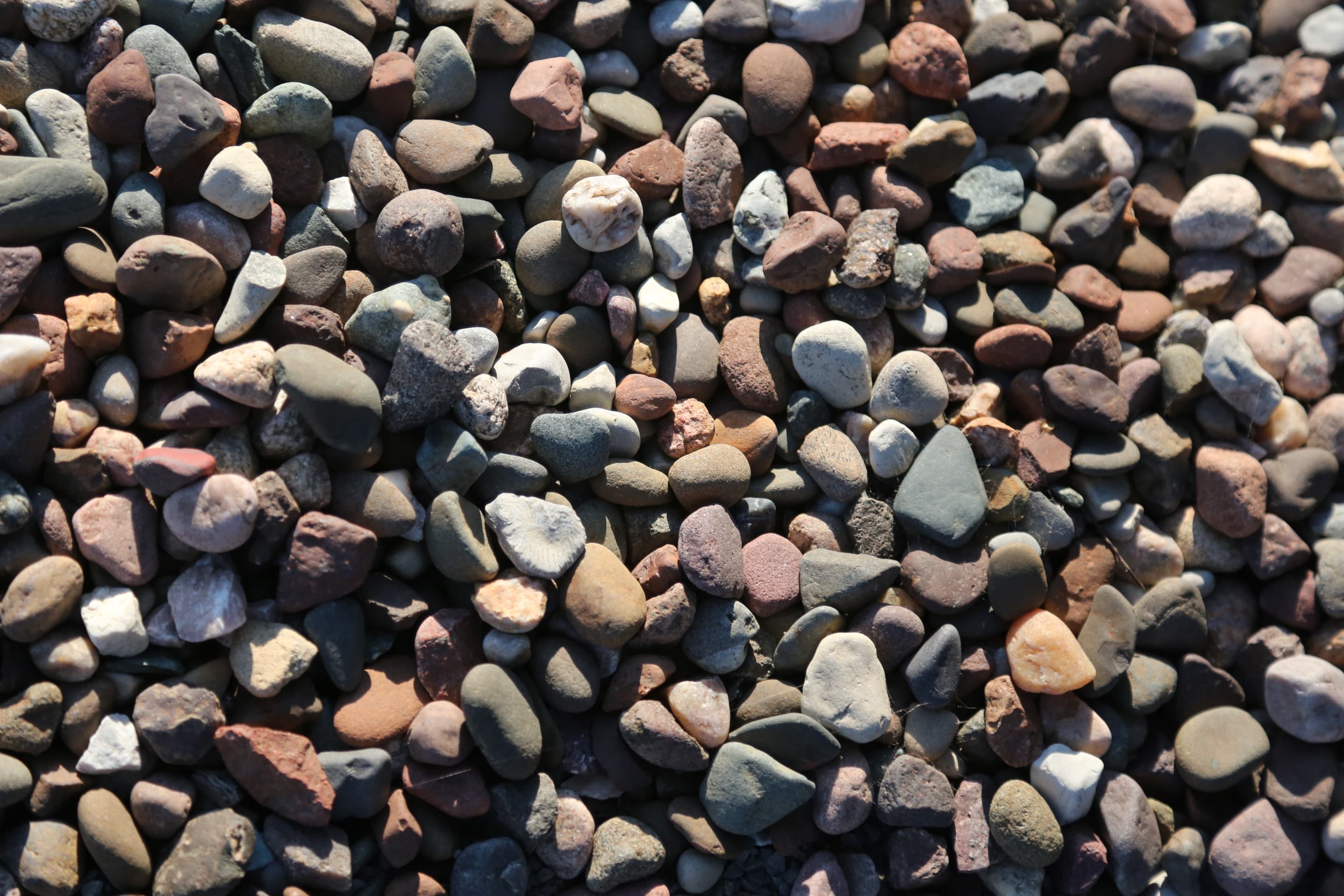 River Rock Medium Colored Tawa Mulch & Landscape Supply