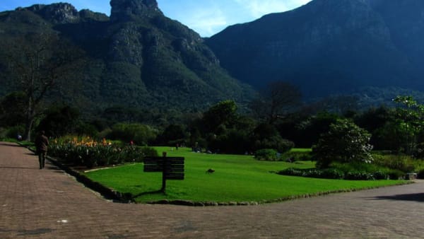 Kirstenbosch1 xduvm1