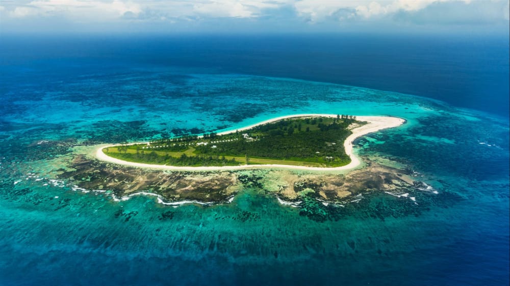 Bird island aerial view qkxdrg