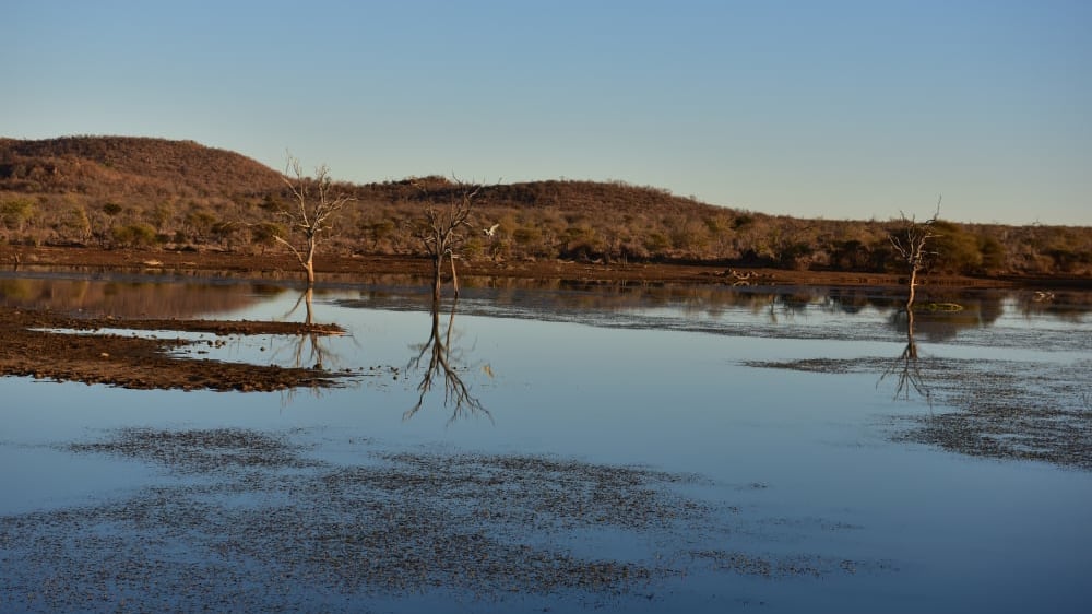 Madikwe game reserve north west south africa 20343492150 o eacijr