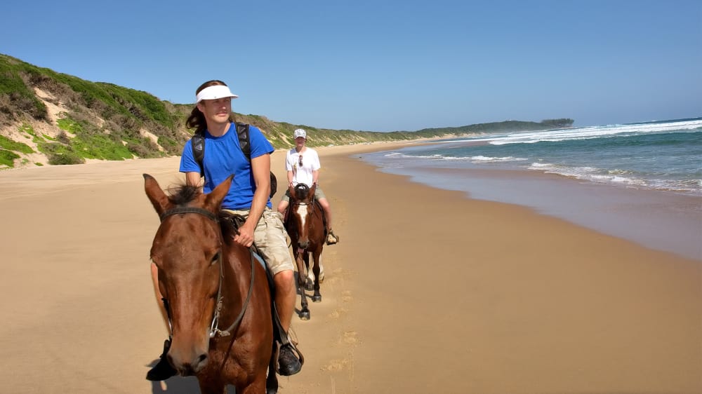 Couple of horse riders on beach in sodwana w6abov