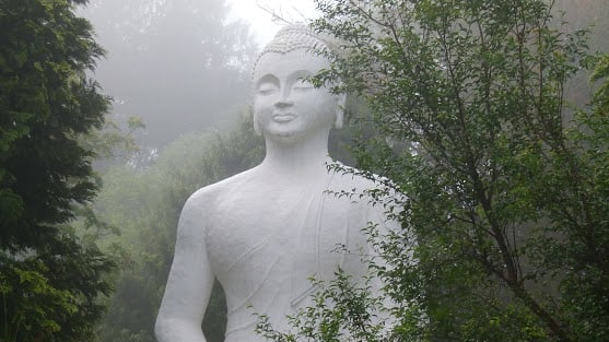 Buddha r1iaqq