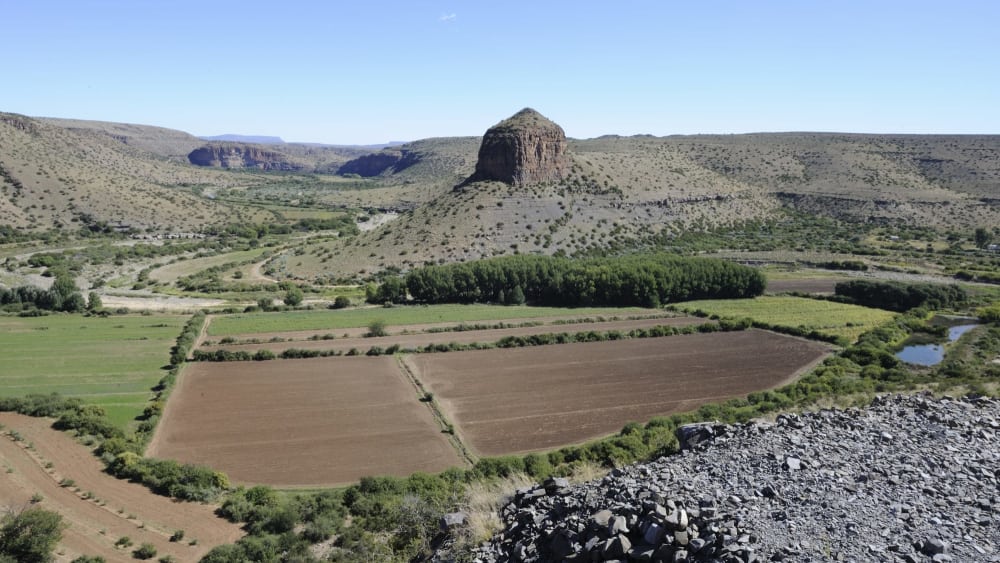 Shutterstock 99788222 tgpmmp