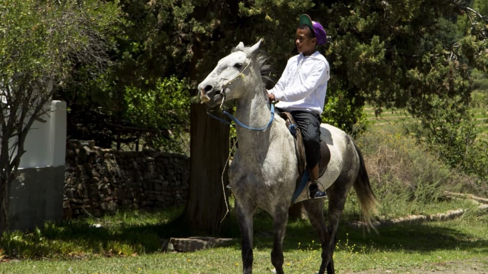 Shutterstock 171377204 lpzyyi