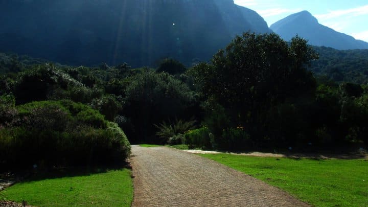 Kirstenbosch8 mzlukn