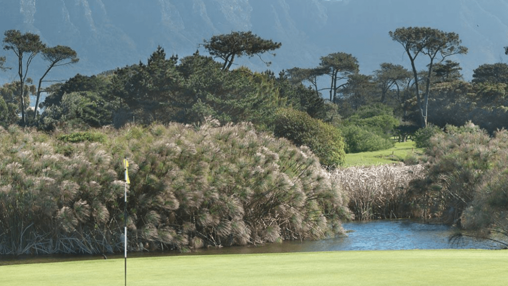 Royal cape golf club efqa7t