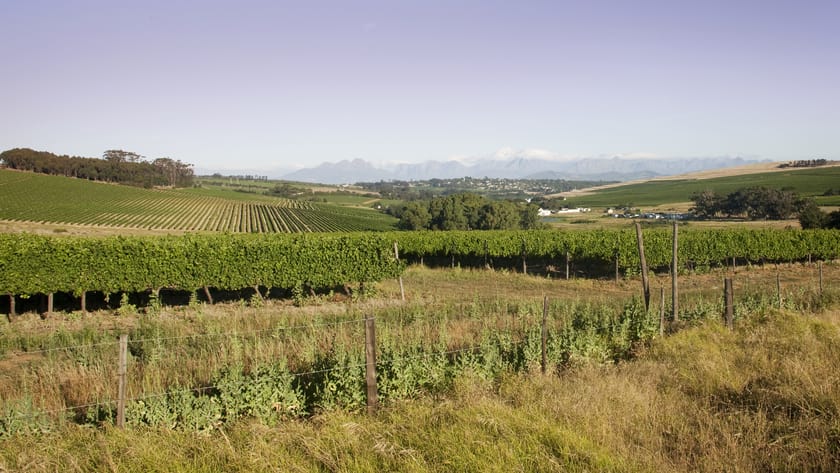 View over the durbanville winelands outside cape town south africa danie nel hgyb9n