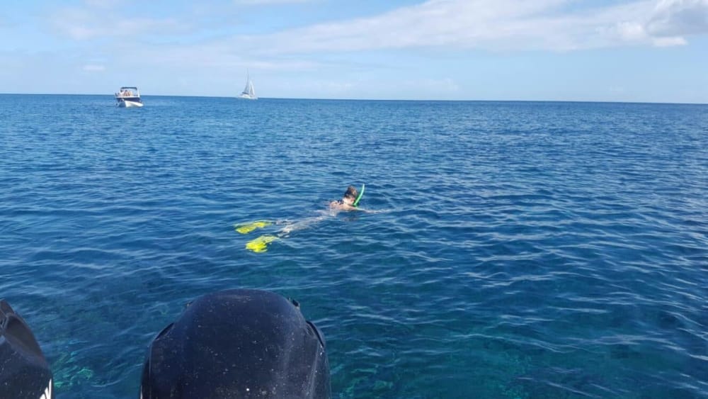 Snorkelling www.mishi.co.uk e9agaq