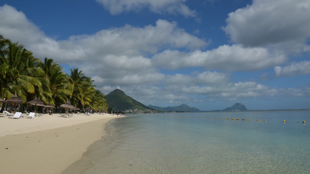 Notmyyearoff.com ashs2p