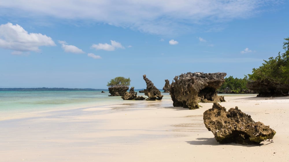 Pemba island zanzibar fuf5af