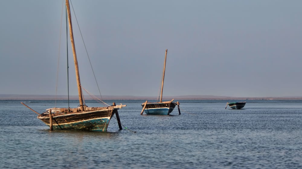 Dhows in the pemba bay cd4z6c