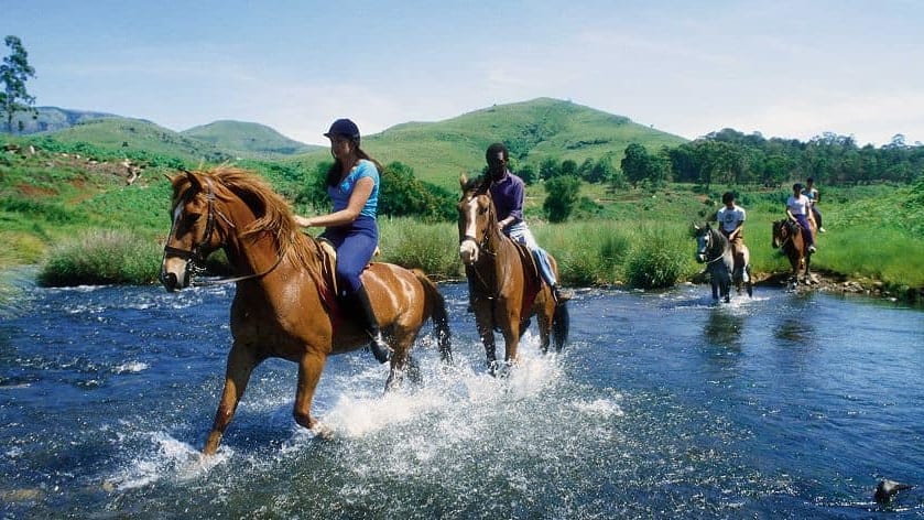 01302468 9overberg on horseback60 472 80auto s c1 center center l4lusu