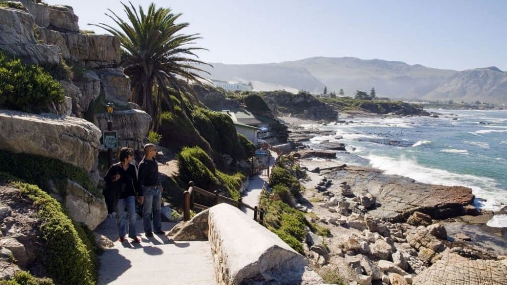 Whale walk hermanus western cape 6252718671 o apxnao