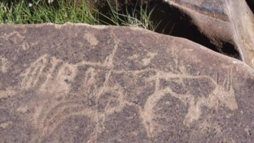 Eland wildebees kuil san art centre gzfwvj