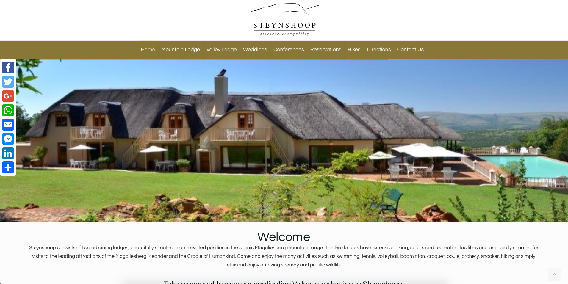 Steynshoop Website, Websites in Johannesburg