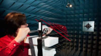 Related article image