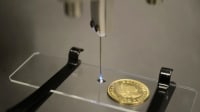 Related article image