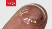 Related article image