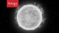 Related Article Image